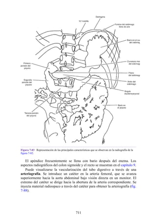 ANATOMIA SNELL 10MA EDICION ESPAÑOL.pdf