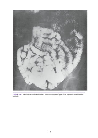 ANATOMIA SNELL 10MA EDICION ESPAÑOL.pdf
