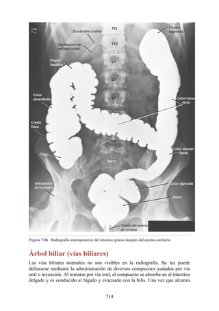 ANATOMIA SNELL 10MA EDICION ESPAÑOL.pdf