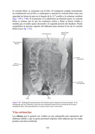 ANATOMIA SNELL 10MA EDICION ESPAÑOL.pdf