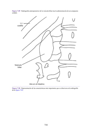 ANATOMIA SNELL 10MA EDICION ESPAÑOL.pdf