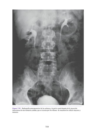 ANATOMIA SNELL 10MA EDICION ESPAÑOL.pdf