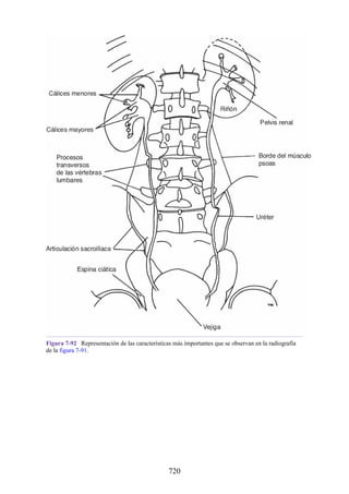 ANATOMIA SNELL 10MA EDICION ESPAÑOL.pdf