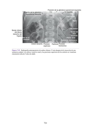 ANATOMIA SNELL 10MA EDICION ESPAÑOL.pdf