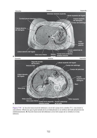 ANATOMIA SNELL 10MA EDICION ESPAÑOL.pdf
