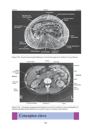 ANATOMIA SNELL 10MA EDICION ESPAÑOL.pdf