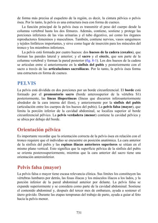 ANATOMIA SNELL 10MA EDICION ESPAÑOL.pdf
