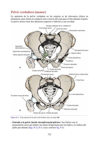 ANATOMIA SNELL 10MA EDICION ESPAÑOL.pdf