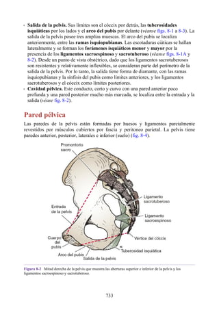 ANATOMIA SNELL 10MA EDICION ESPAÑOL.pdf