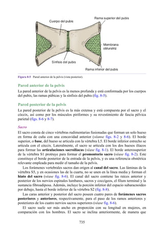 ANATOMIA SNELL 10MA EDICION ESPAÑOL.pdf