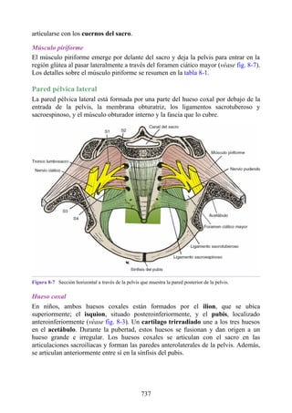 ANATOMIA SNELL 10MA EDICION ESPAÑOL.pdf