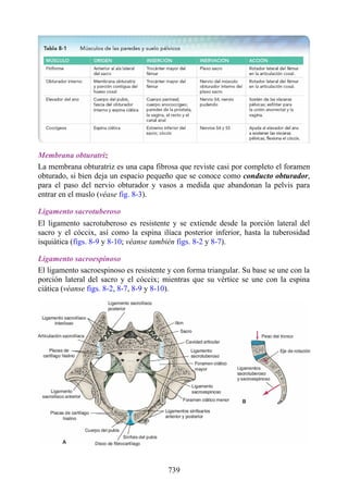 ANATOMIA SNELL 10MA EDICION ESPAÑOL.pdf