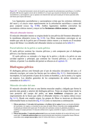 ANATOMIA SNELL 10MA EDICION ESPAÑOL.pdf