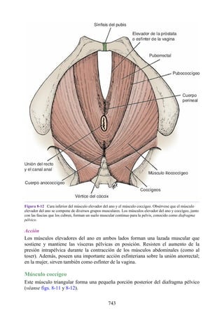 ANATOMIA SNELL 10MA EDICION ESPAÑOL.pdf