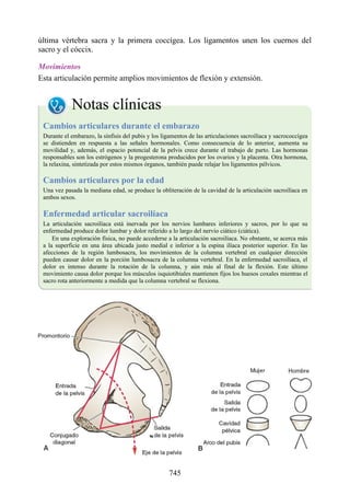 ANATOMIA SNELL 10MA EDICION ESPAÑOL.pdf
