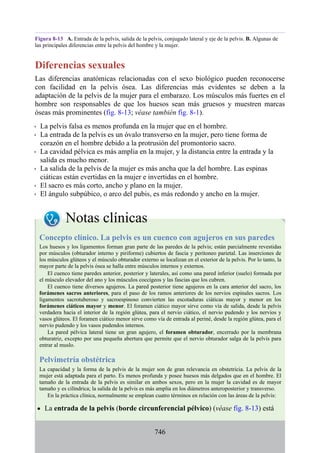ANATOMIA SNELL 10MA EDICION ESPAÑOL.pdf