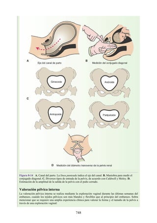ANATOMIA SNELL 10MA EDICION ESPAÑOL.pdf