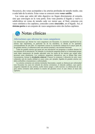 frecuencia, dos venas acompañan a las arterias profundas de tamaño medio, una
a cada lado de la arteria. Estas venas se conocen como venas satélite.
Las venas que salen del tubo digestivo no llegan directamente al corazón,
sino que convergen en la vena porta. Esta vena penetra el hígado y vuelve a
subdividirse en venas de tamaño cada vez menor que, al final, conectan con
vasos similares a los capilares, conocidos como sinusoides, en el hígado. Así, el
sistema porta es un conjunto de vasos sanguíneos entre dos lechos capilares.
Notas clínicas
Alteraciones que afectan los vasos sanguíneos
Las alteraciones que afectan los vasos sanguíneos son frecuentes. La anatomía superficial de las
arterias más importantes, en particular las de los miembros, se aborda en los apartados
correspondientes de este libro. Es importante conocer la circulación colateral de la mayor parte de
las grandes arterias y la diferencia entre una arterias terminal y una terminal funcional.
Todas las grandes arterias que pasan por una articulación son propensas a acodarse durante los
movimientos de la articulación. No obstante, la circulación sanguínea distal no se interrumpe porque
suele haber anastomosis de tamaño adecuado entre las ramas de las arterias que surgen tanto
proximal como distalmente. Los conductos sanguíneos alternativos, que se dilatan bajo estas
circunstancias, forman la circulación colateral. Conocer la existencia y ubicación de estos vasos
colaterales será de mucha utilidad en casos como, por ejemplo, ligadura de grandes arterias con
daños atribuibles a traumatismos o enfermedades.
Las arterias coronarias son arterias terminales funcionales; cuando se obstruyen por enfermedad
(son frecuentes los casos de oclusión de arterias coronarias), el músculo cardíaco, cuyo aporte
sanguíneo depende de esas arterias, recibe menos sangre y sufre necrosis. La obstrucción de una
gran arteria coronaria suele producir la muerte del paciente (véase el caso clínico al inicio del
capítulo).
75
 