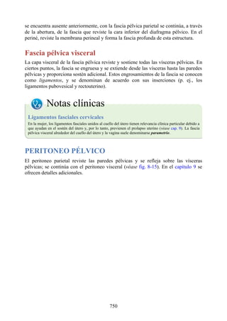 ANATOMIA SNELL 10MA EDICION ESPAÑOL.pdf