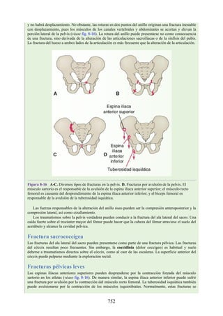 ANATOMIA SNELL 10MA EDICION ESPAÑOL.pdf