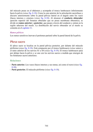 ANATOMIA SNELL 10MA EDICION ESPAÑOL.pdf