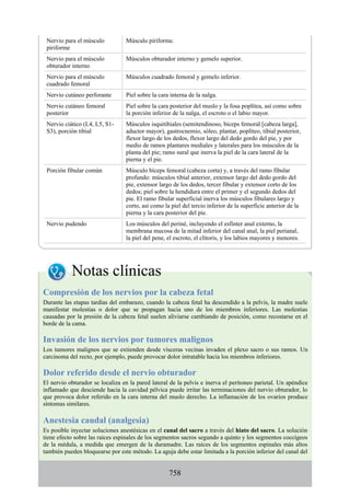 ANATOMIA SNELL 10MA EDICION ESPAÑOL.pdf