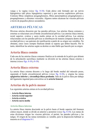 ANATOMIA SNELL 10MA EDICION ESPAÑOL.pdf