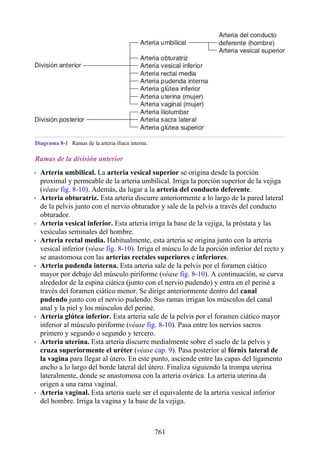 ANATOMIA SNELL 10MA EDICION ESPAÑOL.pdf