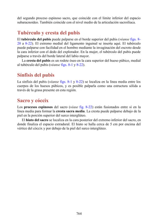 ANATOMIA SNELL 10MA EDICION ESPAÑOL.pdf