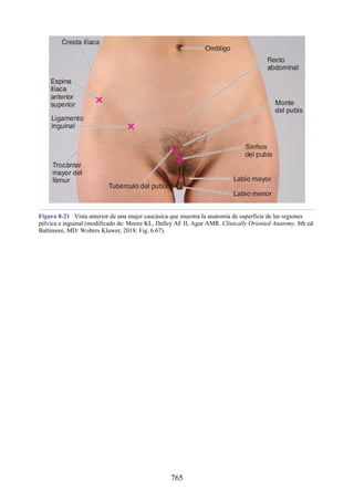 ANATOMIA SNELL 10MA EDICION ESPAÑOL.pdf