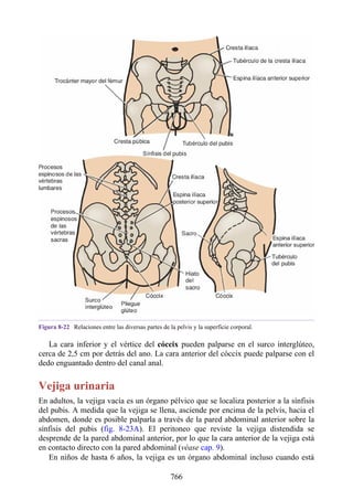 ANATOMIA SNELL 10MA EDICION ESPAÑOL.pdf