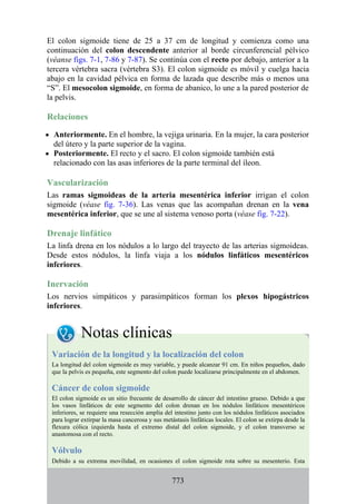 ANATOMIA SNELL 10MA EDICION ESPAÑOL.pdf