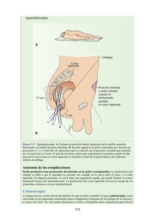 ANATOMIA SNELL 10MA EDICION ESPAÑOL.pdf