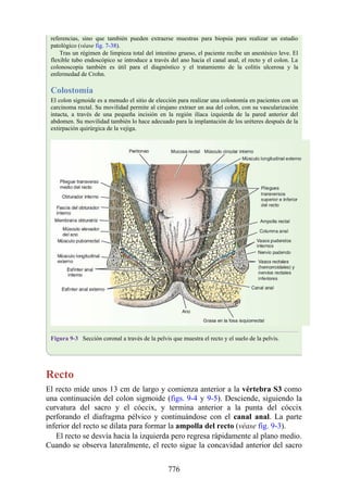 ANATOMIA SNELL 10MA EDICION ESPAÑOL.pdf