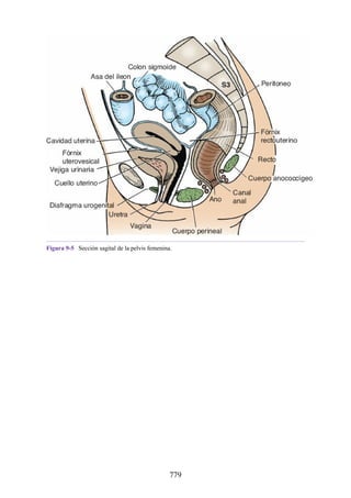 ANATOMIA SNELL 10MA EDICION ESPAÑOL.pdf