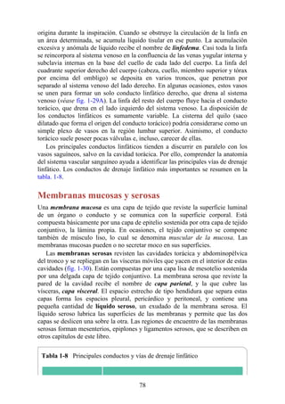 origina durante la inspiración. Cuando se obstruye la circulación de la linfa en
un área determinada, se acumula líquido tisular en ese punto. La acumulación
excesiva y anómala de líquido recibe el nombre de linfedema. Casi toda la linfa
se reincorpora al sistema venoso en la confluencia de las venas yugular interna y
subclavia internas en la base del cuello de cada lado del cuerpo. La linfa del
cuadrante superior derecho del cuerpo (cabeza, cuello, miembro superior y tórax
por encima del ombligo) se deposita en varios troncos, que penetran por
separado al sistema venoso del lado derecho. En algunas ocasiones, estos vasos
se unen para formar un solo conducto linfático derecho, que drena al sistema
venoso (véase fig. 1-29A). La linfa del resto del cuerpo fluye hacia el conducto
torácico, que drena en el lado izquierdo del sistema venoso. La disposición de
los conductos linfáticos es sumamente variable. La cisterna del quilo (saco
dilatado que forma el origen del conducto torácico) podría considerarse como un
simple plexo de vasos en la región lumbar superior. Asimismo, el conducto
torácico suele poseer pocas válvulas e, incluso, carecer de ellas.
Los principales conductos linfáticos tienden a discurrir en paralelo con los
vasos saguíneos, salvo en la cavidad torácica. Por ello, comprender la anatomía
del sistema vascular sanguíneo ayuda a identificar las principales vías de drenaje
linfático. Los conductos de drenaje linfático más importantes se resumen en la
tabla. 1-8.
Membranas mucosas y serosas
Una membrana mucosa es una capa de tejido que reviste la superficie luminal
de un órgano o conducto y se comunica con la superficie corporal. Está
compuesta básicamente por una capa de epitelio sostenida por otra capa de tejido
conjuntivo, la lámina propia. En ocasiones, el tejido conjuntivo se compone
también de músculo liso, lo cual se denomina muscular de la mucosa. Las
membranas mucosas pueden o no secretar moco en sus superficies.
Las membranas serosas revisten las cavidades torácica y abdominopélvica
del tronco y se repliegan en las vísceras móviles que yacen en el interior de estas
cavidades (fig. 1-30). Están compuestas por una capa lisa de mesotelio sostenida
por una delgada capa de tejido conjuntivo. La membrana serosa que reviste la
pared de la cavidad recibe el nombre de capa parietal, y la que cubre las
vísceras, capa visceral. El espacio estrecho de tipo hendidura que separa estas
capas forma los espacios pleural, pericárdico y peritoneal, y contiene una
pequeña cantidad de líquido seroso, un exudado de la membrana serosa. El
líquido seroso lubrica las superficies de las membranas y permite que las dos
capas se deslicen una sobre la otra. Las regiones de encuentro de las membranas
serosas forman mesenterios, epiplones y ligamentos serosos, que se describen en
otros capítulos de este libro.
Tabla 1-8 Principales conductos y vías de drenaje linfático
78
 