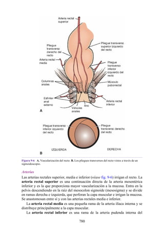 ANATOMIA SNELL 10MA EDICION ESPAÑOL.pdf