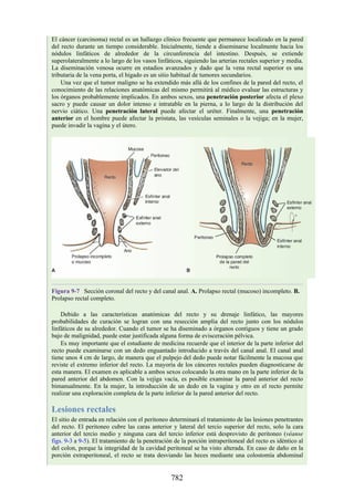ANATOMIA SNELL 10MA EDICION ESPAÑOL.pdf
