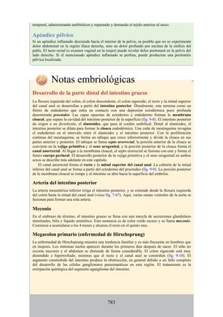 ANATOMIA SNELL 10MA EDICION ESPAÑOL.pdf