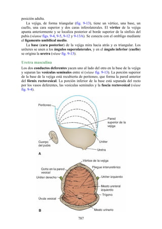 ANATOMIA SNELL 10MA EDICION ESPAÑOL.pdf