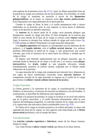 ANATOMIA SNELL 10MA EDICION ESPAÑOL.pdf