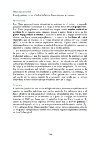 ANATOMIA SNELL 10MA EDICION ESPAÑOL.pdf
