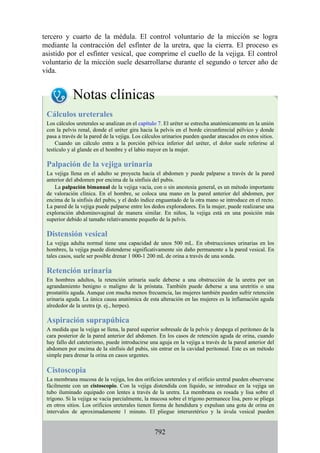 ANATOMIA SNELL 10MA EDICION ESPAÑOL.pdf