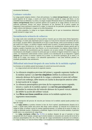 ANATOMIA SNELL 10MA EDICION ESPAÑOL.pdf