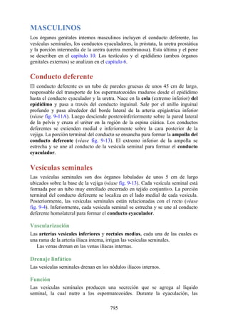 ANATOMIA SNELL 10MA EDICION ESPAÑOL.pdf