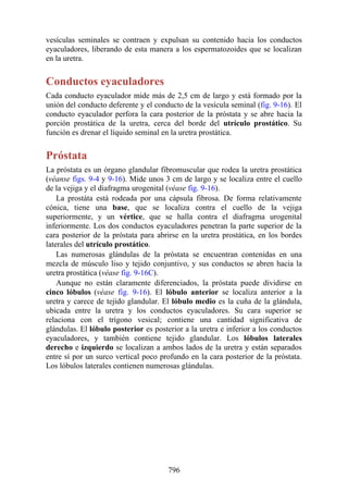 ANATOMIA SNELL 10MA EDICION ESPAÑOL.pdf