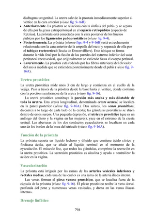 ANATOMIA SNELL 10MA EDICION ESPAÑOL.pdf
