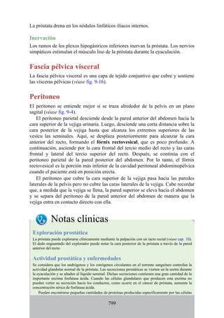 ANATOMIA SNELL 10MA EDICION ESPAÑOL.pdf