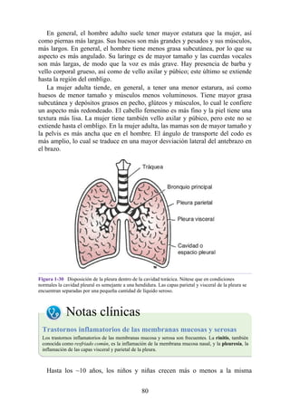 En general, el hombre adulto suele tener mayor estatura que la mujer, así
como piernas más largas. Sus huesos son más grandes y pesados y sus músculos,
más largos. En general, el hombre tiene menos grasa subcutánea, por lo que su
aspecto es más angulado. Su laringe es de mayor tamaño y las cuerdas vocales
son más largas, de modo que la voz es más grave. Hay presencia de barba y
vello corporal grueso, así como de vello axilar y púbico; este último se extiende
hasta la región del ombligo.
La mujer adulta tiende, en general, a tener una menor estarura, así como
huesos de menor tamaño y músculos menos voluminosos. Tiene mayor grasa
subcutánea y depósitos grasos en pecho, glúteos y músculos, lo cual le confiere
un aspecto más redondeado. El cabello femenino es más fino y la piel tiene una
textura más lisa. La mujer tiene también vello axilar y púbico, pero este no se
extiende hasta el ombligo. En la mujer adulta, las mamas son de mayor tamaño y
la pelvis es más ancha que en el hombre. El ángulo de transporte del codo es
más amplio, lo cual se traduce en una mayor desviación lateral del antebrazo en
el brazo.
Figura 1-30 Disposición de la pleura dentro de la cavidad torácica. Nótese que en condiciones
normales la cavidad pleural es semejante a una hendidura. Las capas parietal y visceral de la pleura se
encuentran separadas por una pequeña cantidad de líquido seroso.
Notas clínicas
Trastornos inflamatorios de las membranas mucosas y serosas
Los trastornos inflamatorios de las membranas mucosa y serosa son frecuentes. La rinitis, también
conocida como resfriado común, es la inflamación de la membrana mucosa nasal, y la pleuresía, la
inflamación de las capas visceral y parietal de la pleura.
Hasta los ~10 años, los niños y niñas crecen más o menos a la misma
80
 