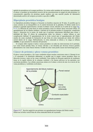 ANATOMIA SNELL 10MA EDICION ESPAÑOL.pdf